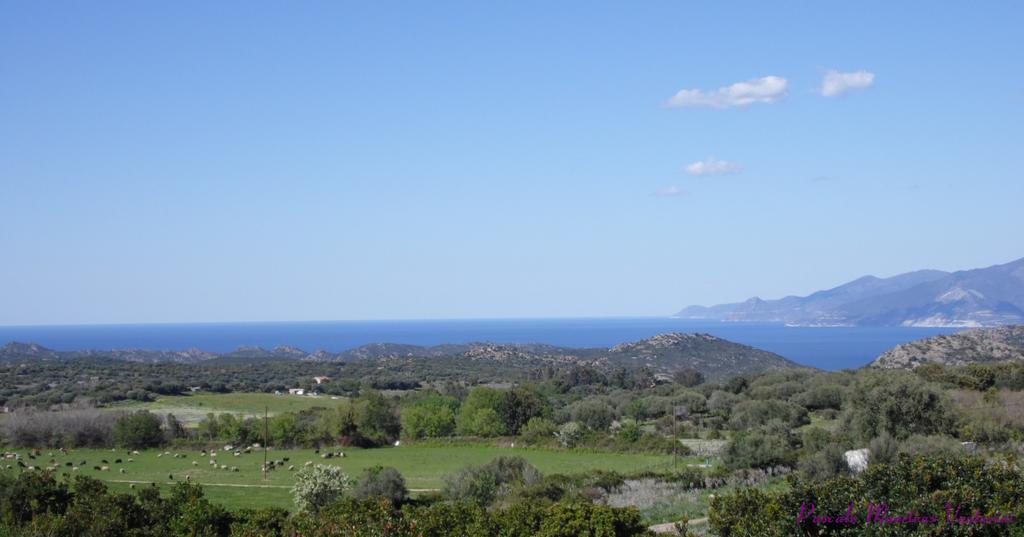 La Canardiere Casta Exterior foto